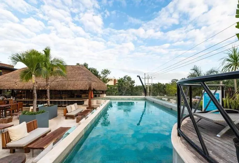 Retkeilymaja Mayan Monkey Tulum   Adults Only
