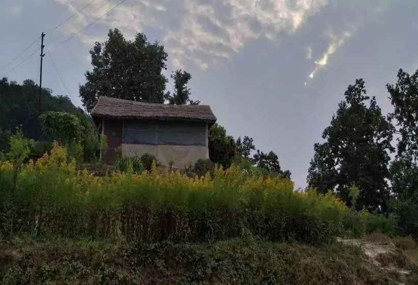 ホテル Goroomgo Whistling Woods Camp Nainital