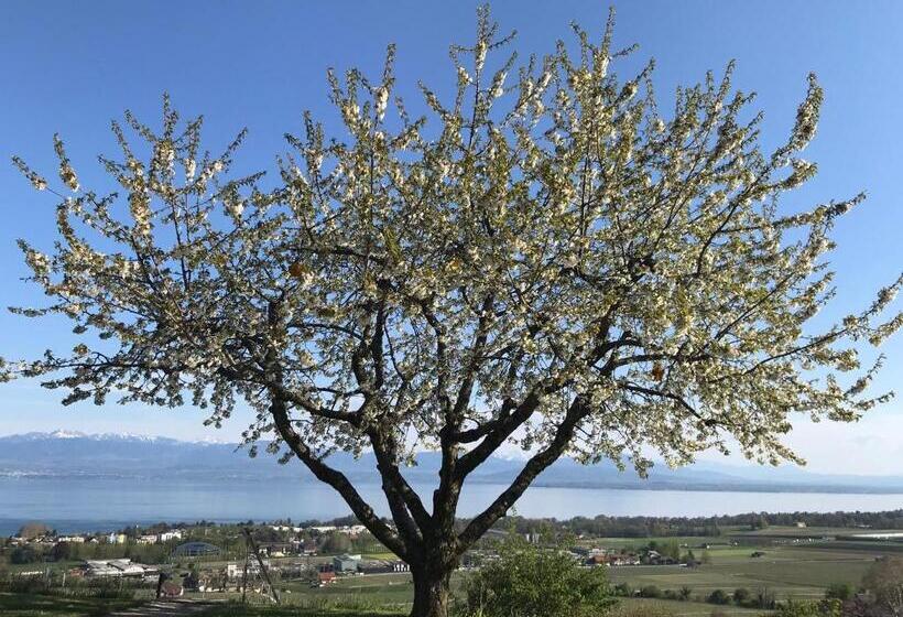 Pensione Domaine Beauregard