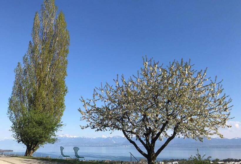 Pensione Domaine Beauregard