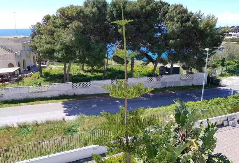 Pensió B&b Da Mammina