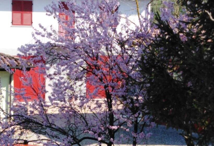 بنسيون La Cascina Dei Banditi