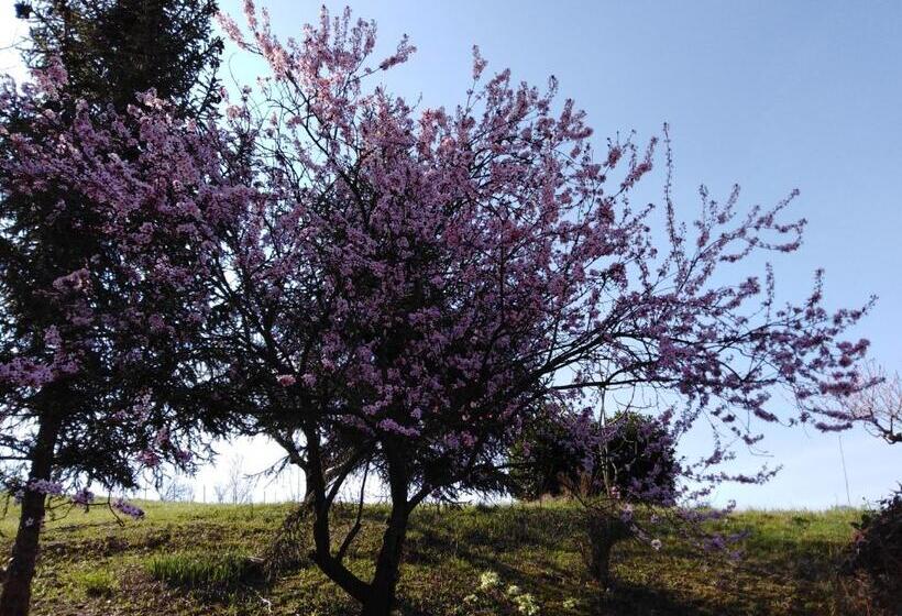 بنسيون La Cascina Dei Banditi
