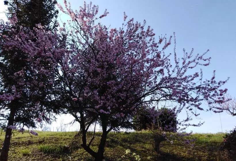 ペンション La Cascina Dei Banditi