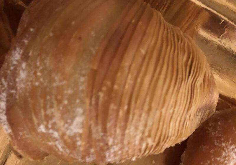 تختخواب و صبحانه Rarityart Guesthouse