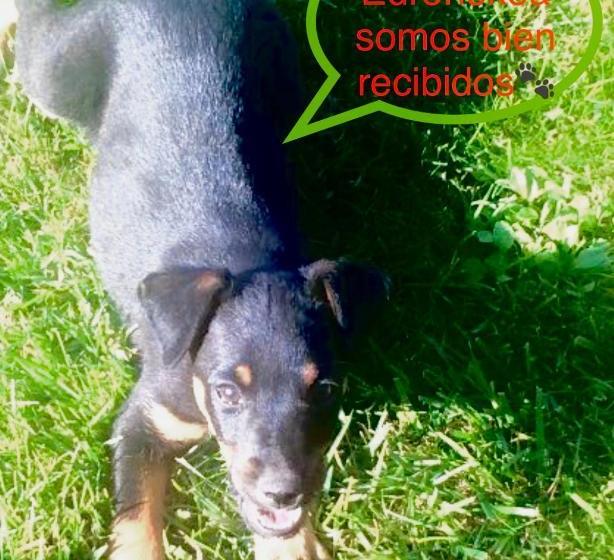 Пансион Hostal Rural Edronekoa