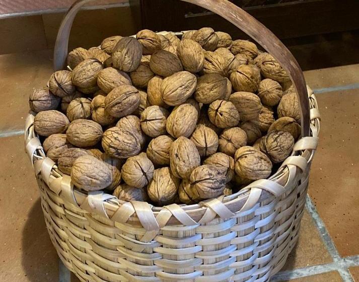 Пансион Hostal Rural Edronekoa