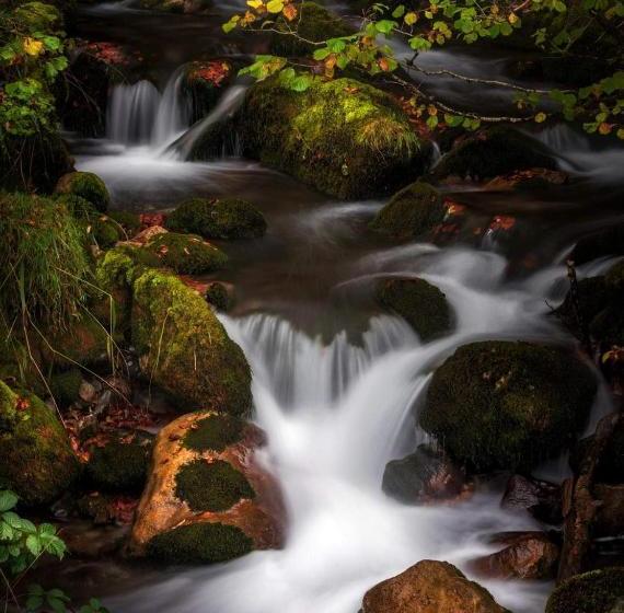 Пансион Hostal Rural Edronekoa