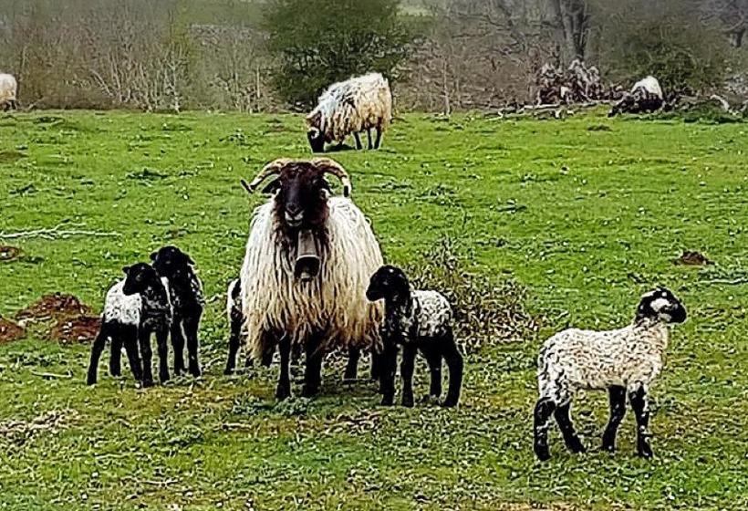 Пансион Hostal Rural Edronekoa