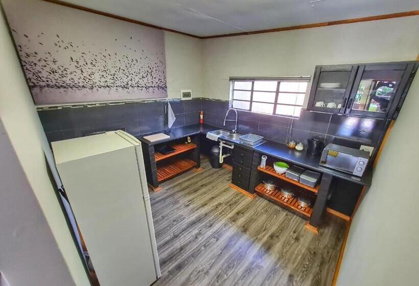 膳宿费 The Elements