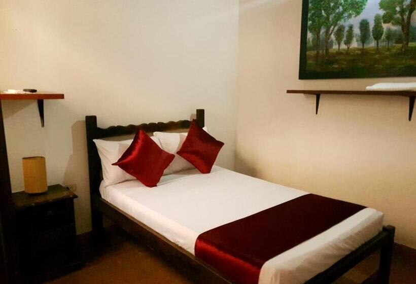 פנסיון Don Juan Colonial