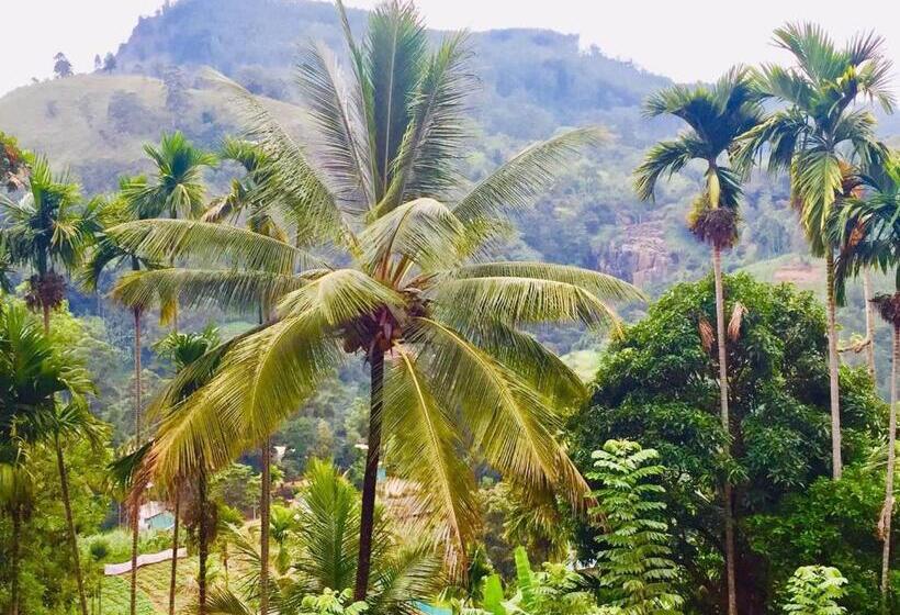 Bed and Breakfast Ella Elegance View