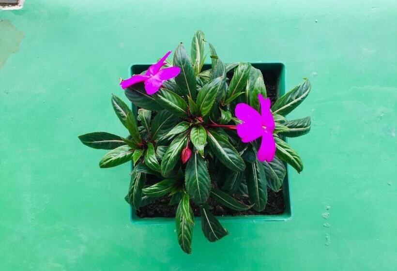 Bed and Breakfast Ella Elegance View