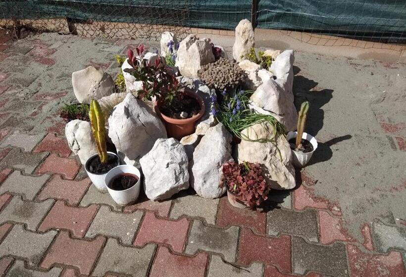 Pensjonat Tulipán Apartmanház