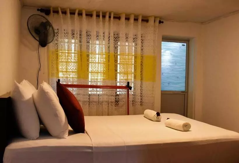 Retkeilymaja Rainforest Holiday Inn