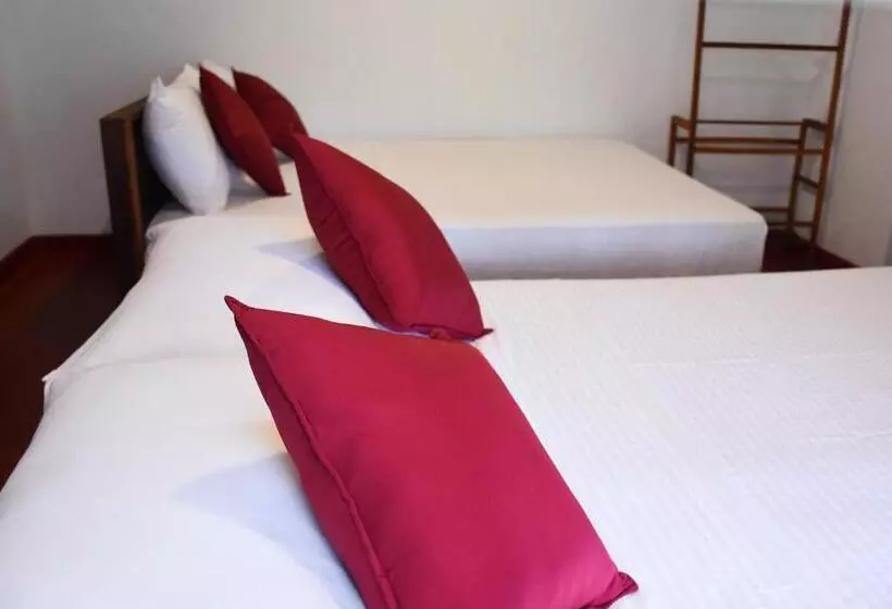 Retkeilymaja Rainforest Holiday Inn