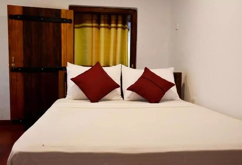 Retkeilymaja Rainforest Holiday Inn