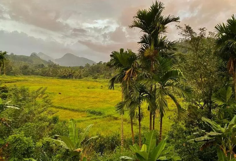 Retkeilymaja Rainforest Holiday Inn