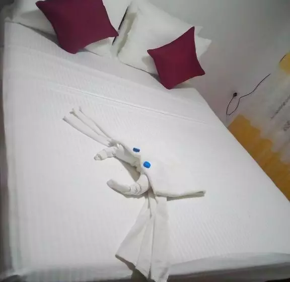 Retkeilymaja Rainforest Holiday Inn