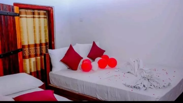 Retkeilymaja Rainforest Holiday Inn