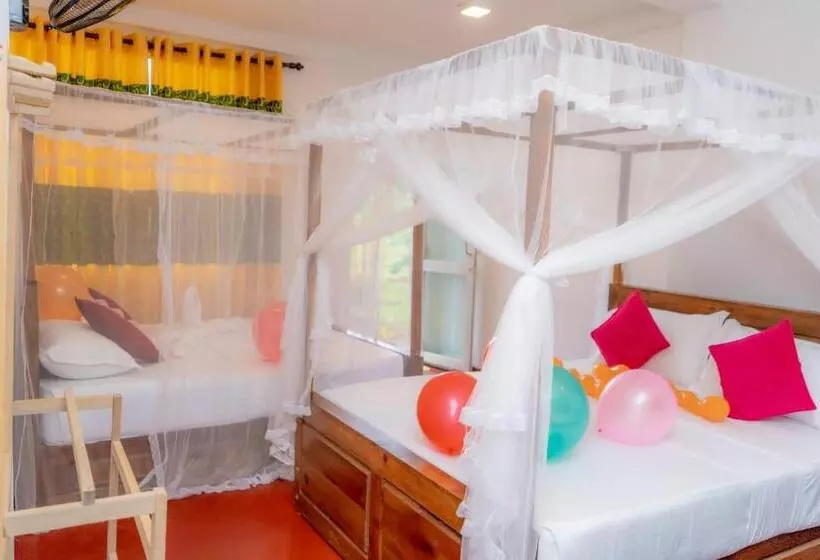 Retkeilymaja Rainforest Holiday Inn