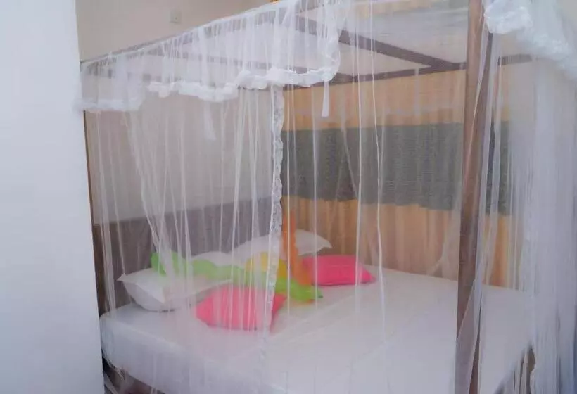 Retkeilymaja Rainforest Holiday Inn