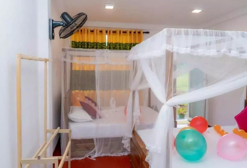 Retkeilymaja Rainforest Holiday Inn