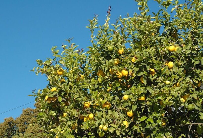 צימר Jingtu Wellness & Spa Resort