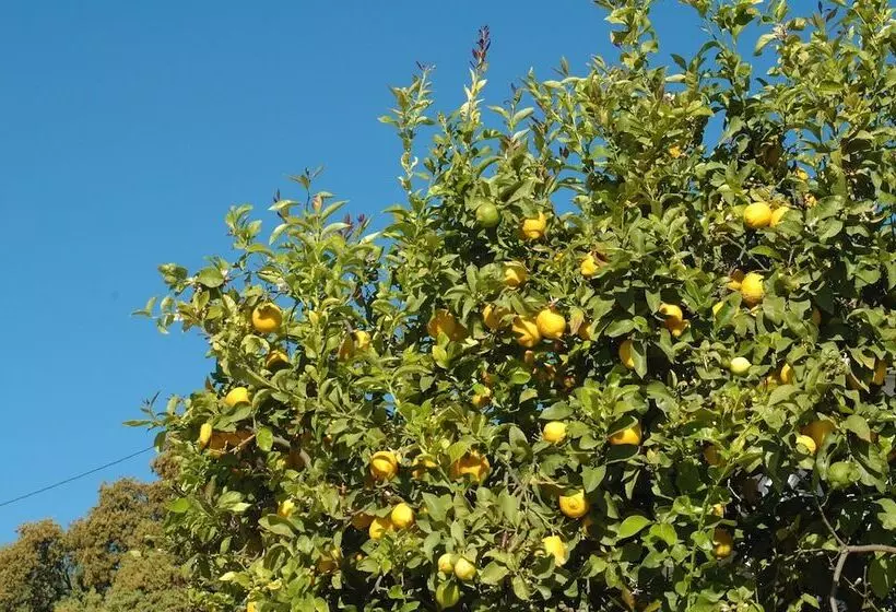 Aamiaismajoitus (B&B) Jingtu Wellness & Spa Resort