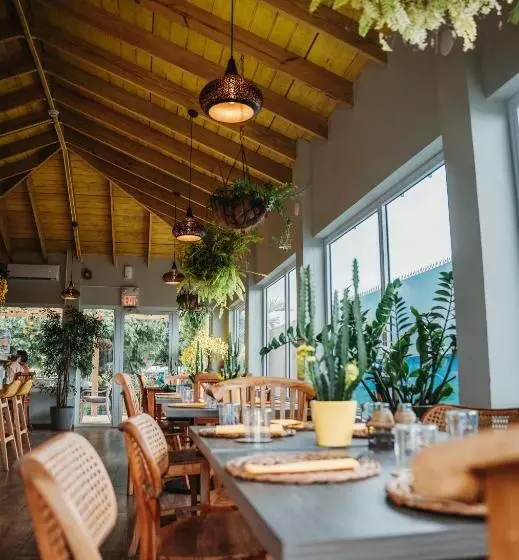 هاستل Rh Boutique Hotel Aruba