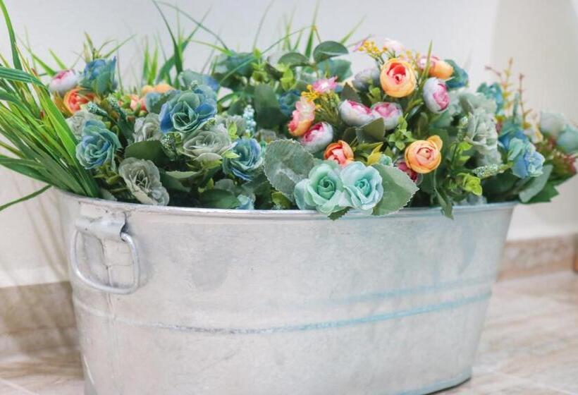 هاستل Rh Boutique Hotel Aruba