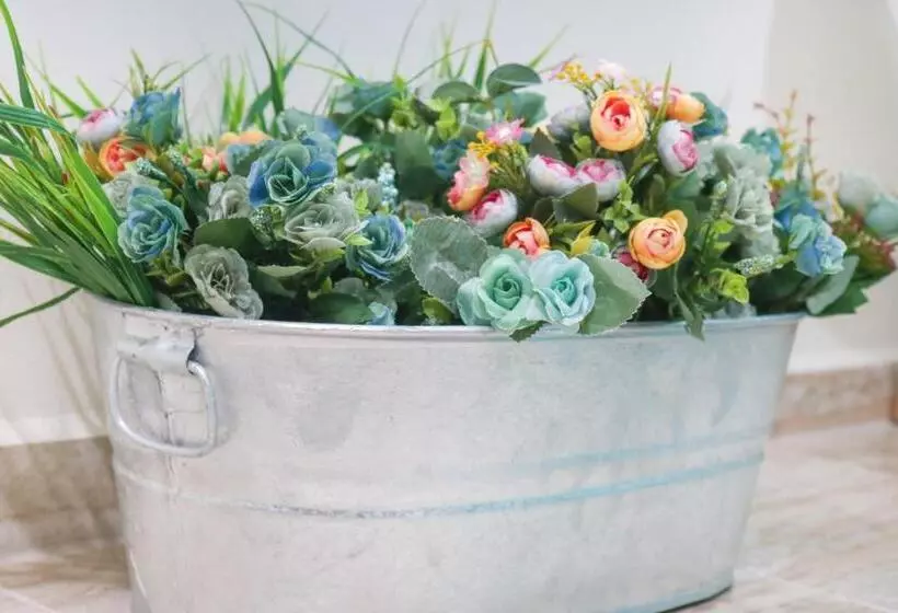 هاستل Rh Boutique Hotel Aruba