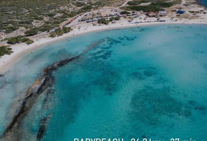 هاستل Rh Boutique Hotel Aruba