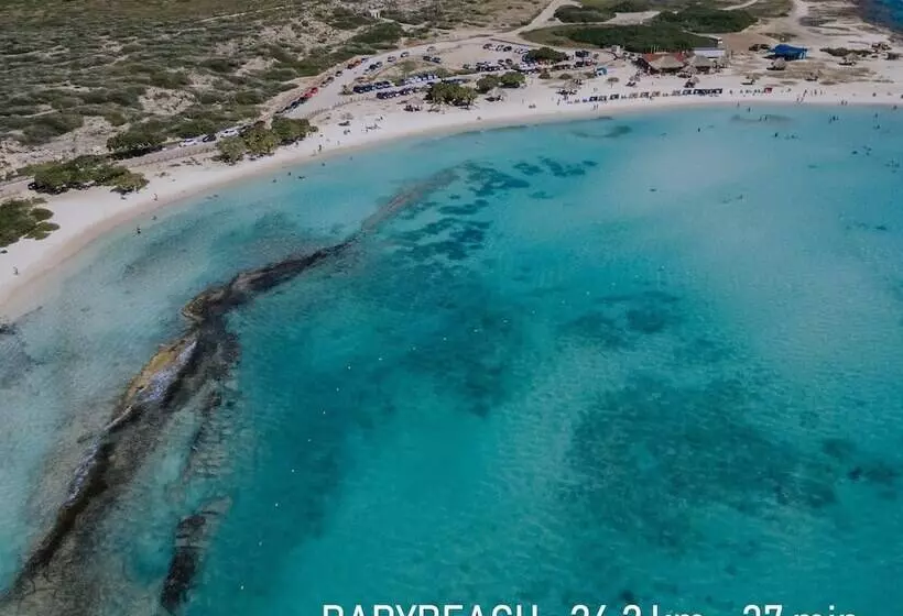 هاستل Rh Boutique Hotel Aruba