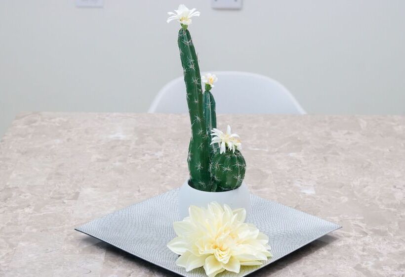 هاستل Rh Boutique Hotel Aruba