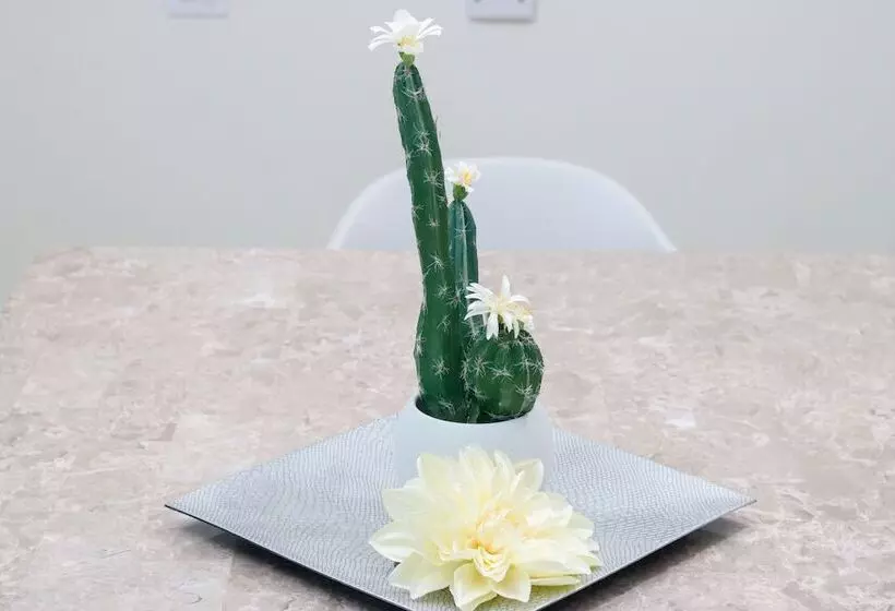 هاستل Rh Boutique Hotel Aruba