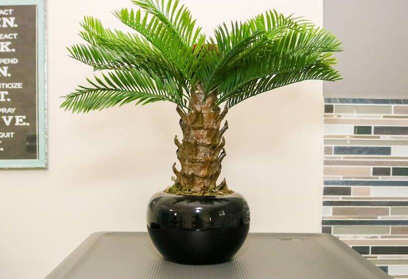 هاستل Rh Boutique Hotel Aruba