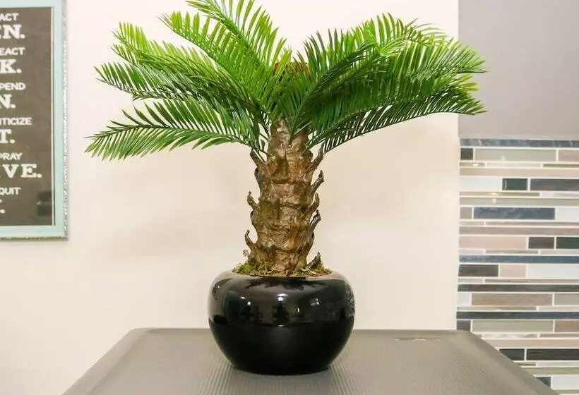 هاستل Rh Boutique Hotel Aruba