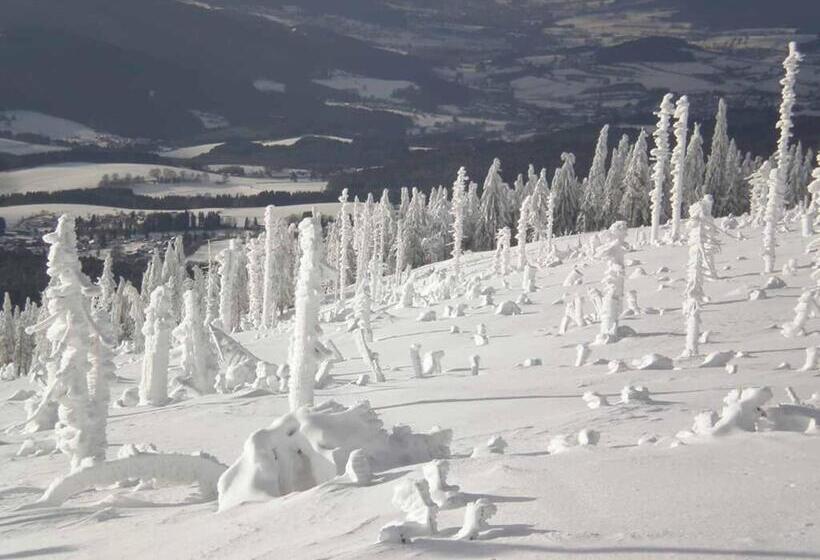 Gästehaus Schmalzreich