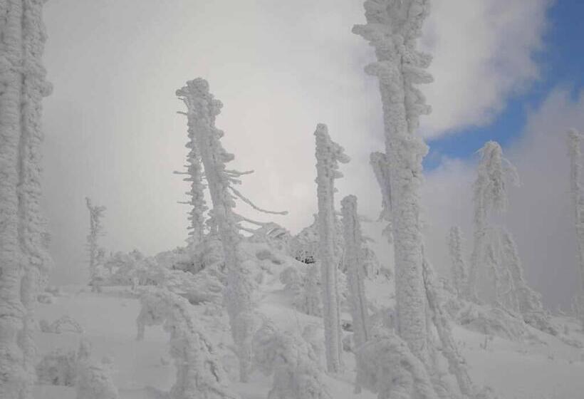 Gästehaus Schmalzreich