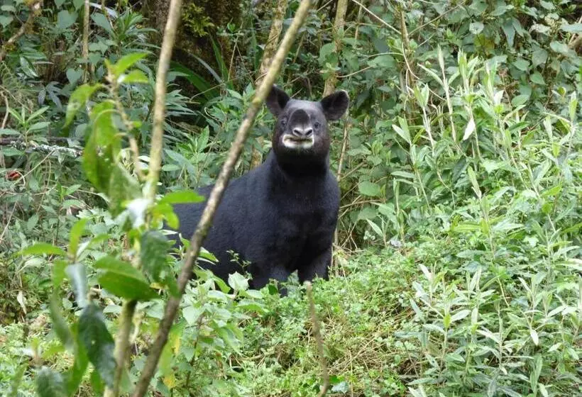 Hotelli Sol De Piedra