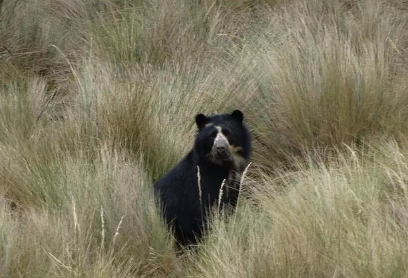 Hotelli Sol De Piedra