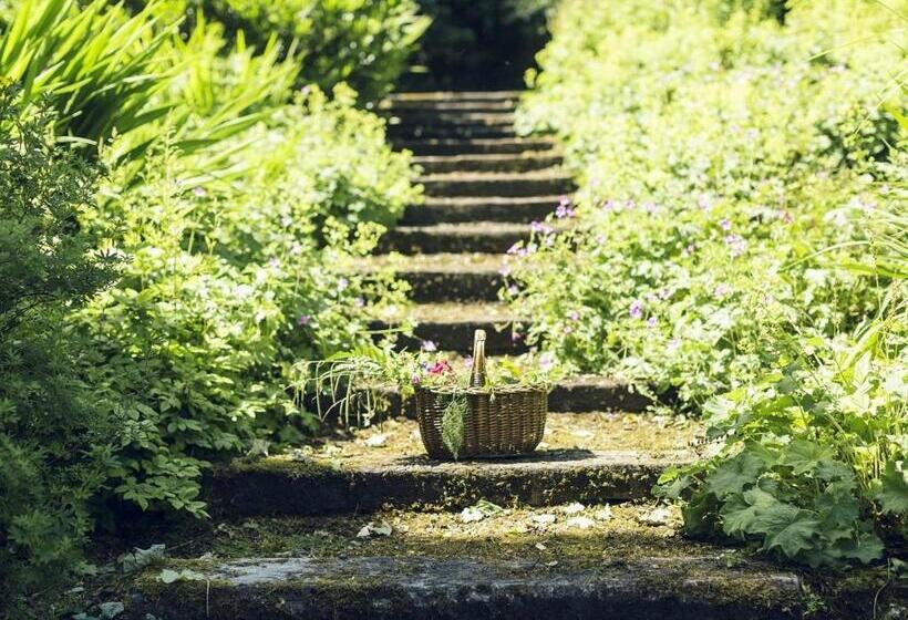 Bed and Breakfast Clonalis House   Guesthouse