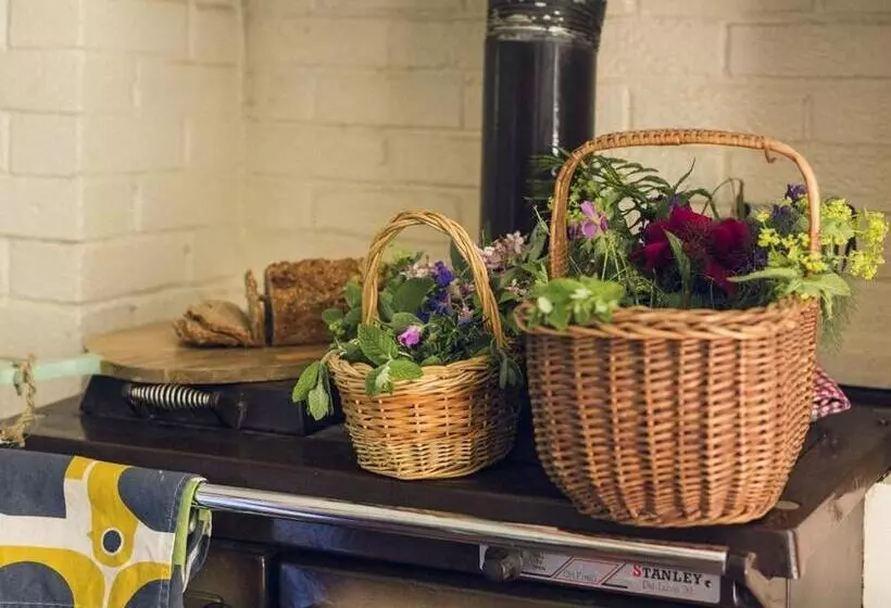 Bed and Breakfast Clonalis House   Guesthouse