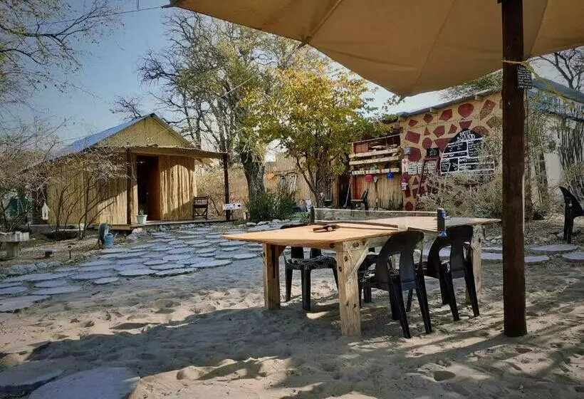 هاستل Eselbe Camp Backpackers
