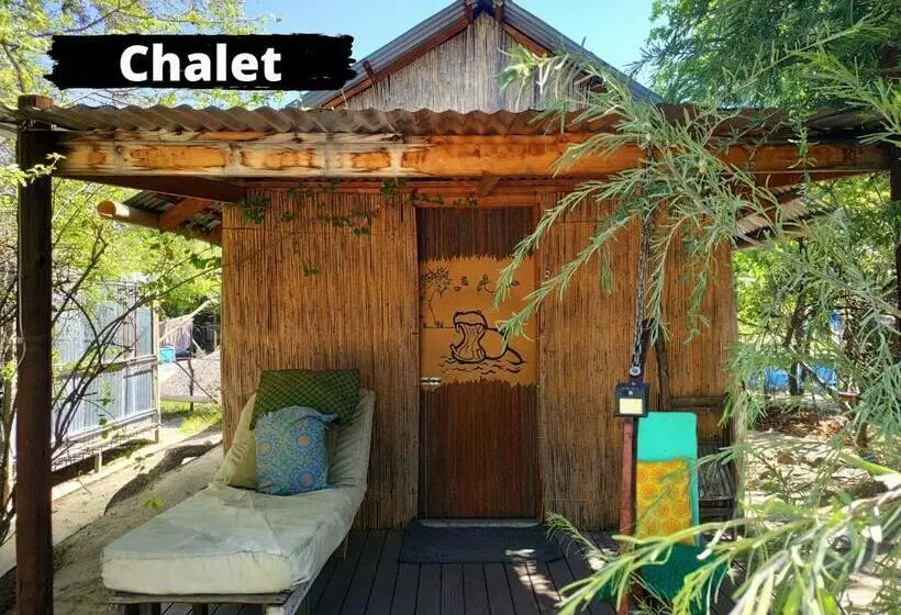 هاستل Eselbe Camp Backpackers