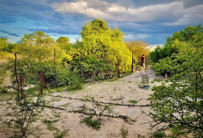 هاستل Eselbe Camp Backpackers