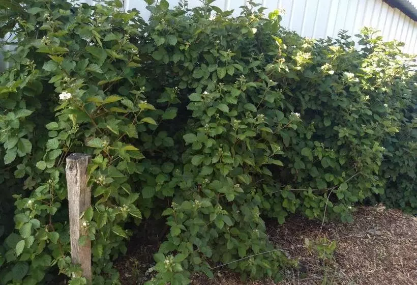 Aamiaismajoitus (B&B) Elevage Du Plec