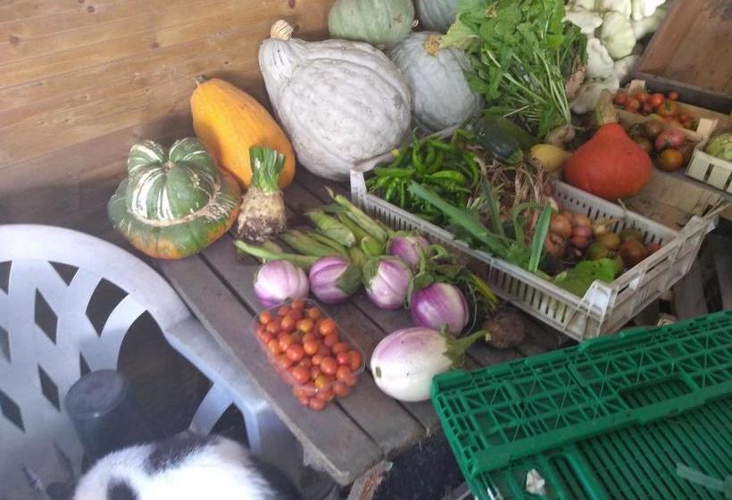 مبيت وإفطار Elevage Du Plec