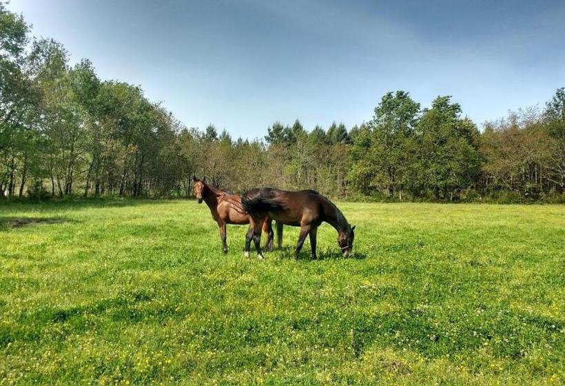 مبيت وإفطار Elevage Du Plec